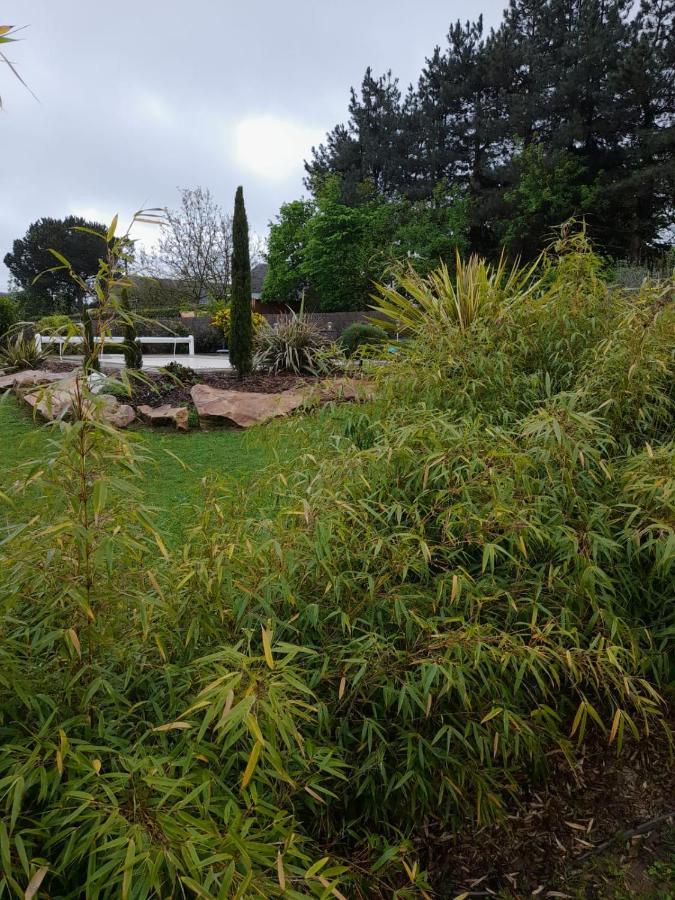 Chambre Dans Un Ecrin De Verdure Angrie Buitenkant foto