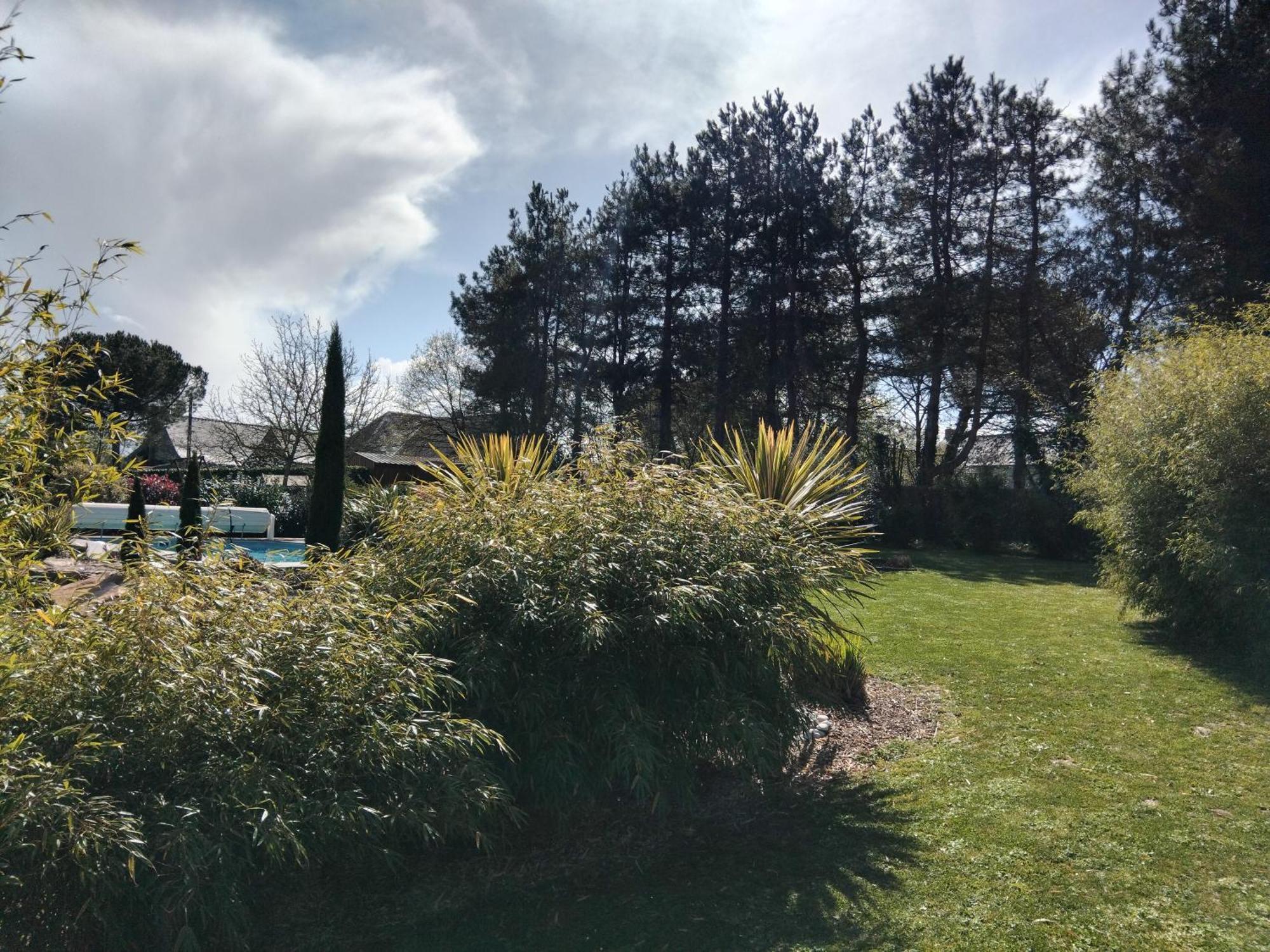 Chambre Dans Un Ecrin De Verdure Angrie Buitenkant foto