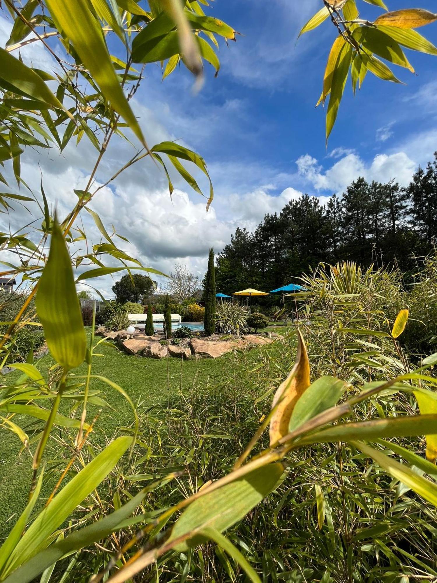 Chambre Dans Un Ecrin De Verdure Angrie Buitenkant foto